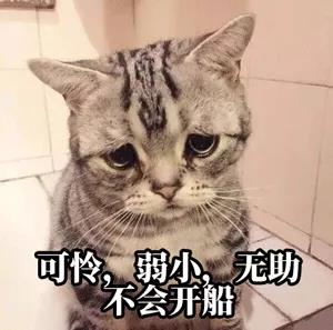 預提費落箱費，天價運費再加雜費！開港晚截單早，心力交瘁等船到廢！